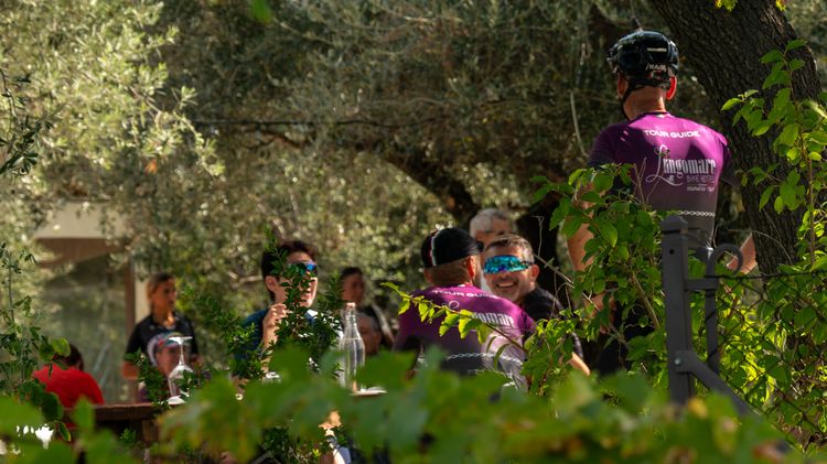 BIKE TOUR CON DEGUSTAZIONE IN AGRITURISMO