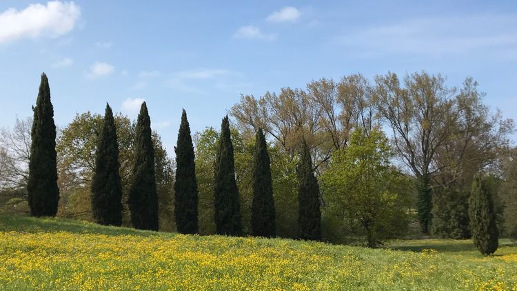 PASSEGGIATA NEL PARCO DI LEVANTE