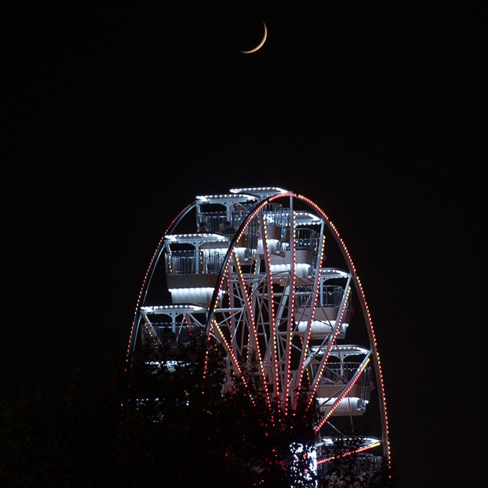 The ferris wheel 