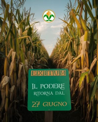 EXITUM - PODERE SALMASTRO