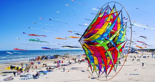 May 1st Offer in Cesenatico